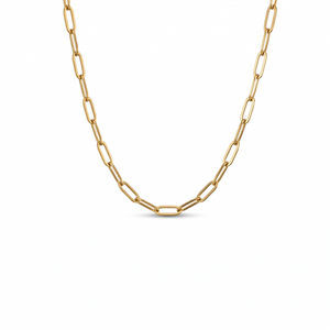 BOLDER DAINTY LINK NECKLACE